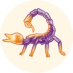 Scorpio